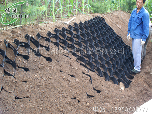 土工格室坡面植被恢复技术